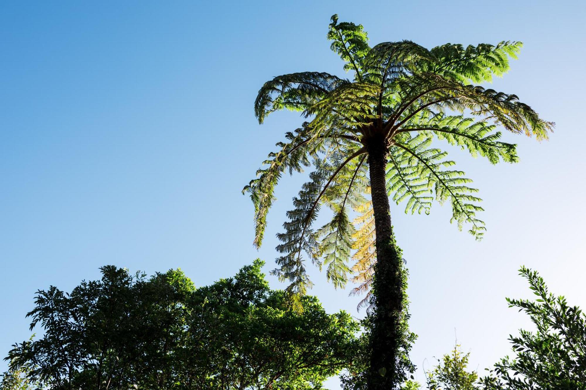 Coral Palms Hotell Suno Eksteriør bilde